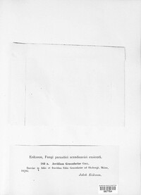 Image Associated With the Occurence